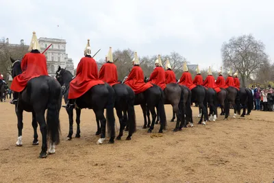 DSC_5605 (Large).JPG